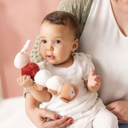 GUSANO CON ACTIVIDADES RUST