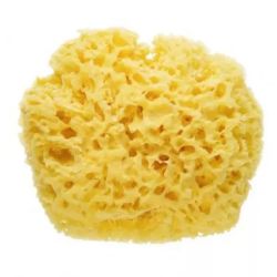 ESPONJA NATURAL UNICO