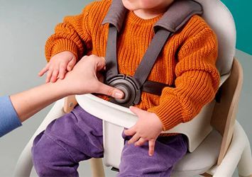 Accesorios Bugaboo Giraffe