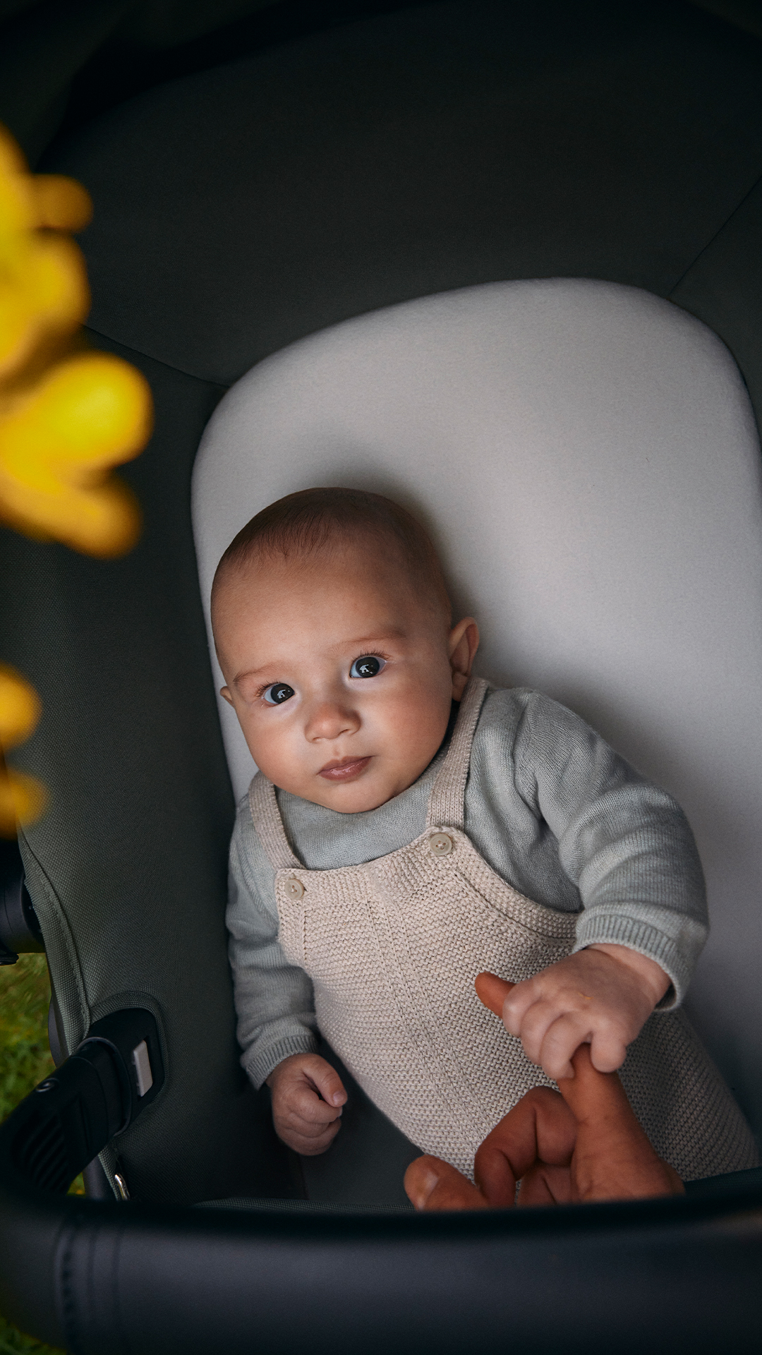 Bugaboo Fox Cub capazo acolchado