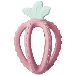 Mordedor Fresh Fruit Rosa