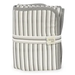 Cambiador Botton Raya