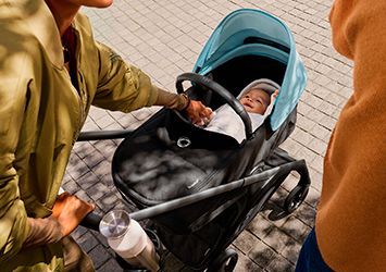 ACESSÓRIOS BUGABOO DRAGONFLY